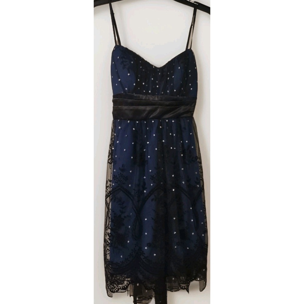 Ruby Rox Babydoll Dress Missy Small Whimsygoth Mesh Flocked Glitter Zipper Blue